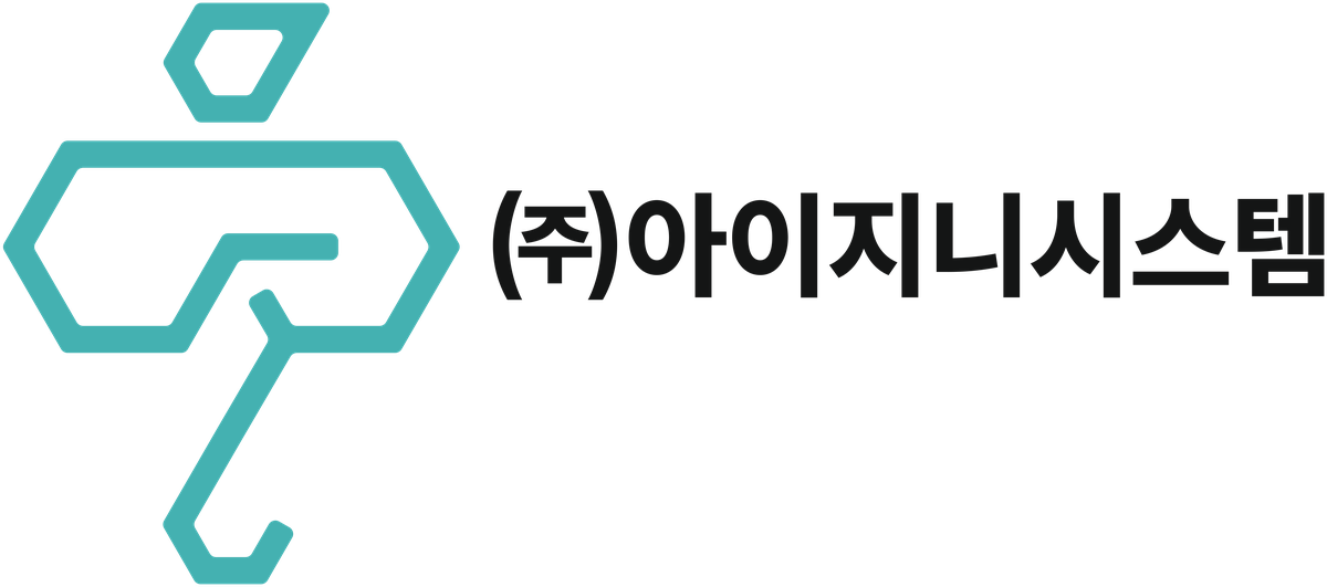 (주)아이지니시스템 국문 로고